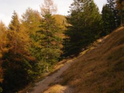 2013-10-25_Baumgartenscheidt (73).JPG